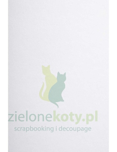 papier 300g Arena.jpg