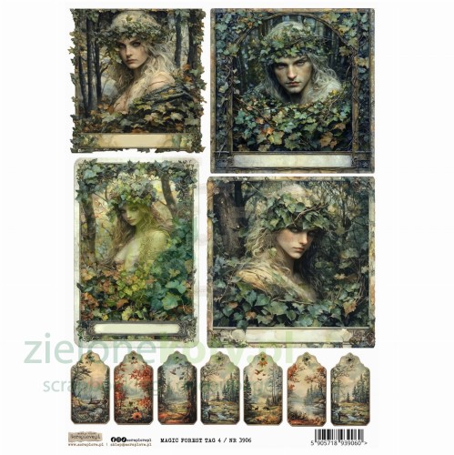 magic-forest-tag-4--NR-3906.jpg