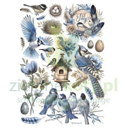 Papier ryżowy decoupage Stamperia A4 Birds ptaki