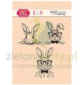 CS048 Funny Bunnies.jpg