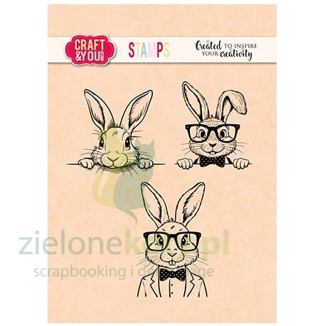 CS048 Funny Bunnies.jpg