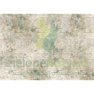 Papier bibuła Tissue Ciao Bella 69x49cm Old Ledgers napisy