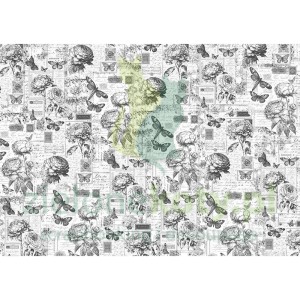 Papier bibułą Tissue Ciao Bella 69x49cm Botany kwiaty czarno-białe