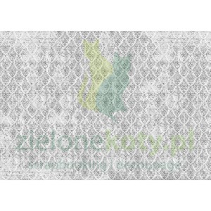 Papier bibyłą Tissue Ciao Bella 69x49cm Tapestry of Time tapeta ornament