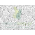 ciao-bella-tissue-paper-69x49cm-news-ht029.jpg