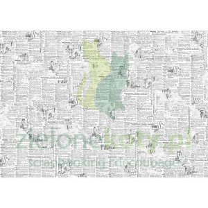 Papier bibuła Ciao Bella Tissue News gazeta 69x49cm x