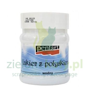 lakier-z-polyskiem-wodny-pentart-230ml.jpg