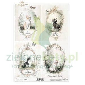 Papier ryżowy decoupage ITD Collection A4 koty w ramkach