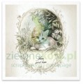 e6.jpg