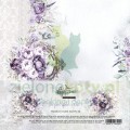 AA-IPC-12-COVER.jpg