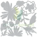 a2.webp
