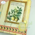 Elizabeth_Craft_Designs_Colorful_Collective_12x12_Paper_c030_life_gives_you_lemons.webp