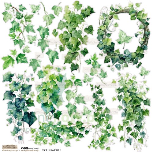ivy-leaves-1-Duzy.jpg