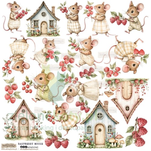 rspberry-mouse-1-Duzy.jpg