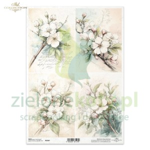 Papier ryżowy ITD decoupage A4 kwiaty obrazki x