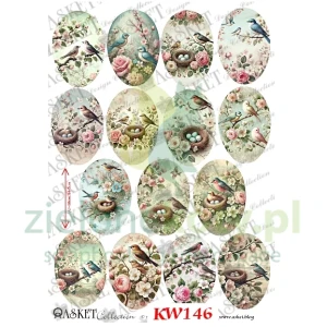 Karton Asket elementy do wycinania / przekładki do jajek 3D pleksi  10-11cm / ptaki