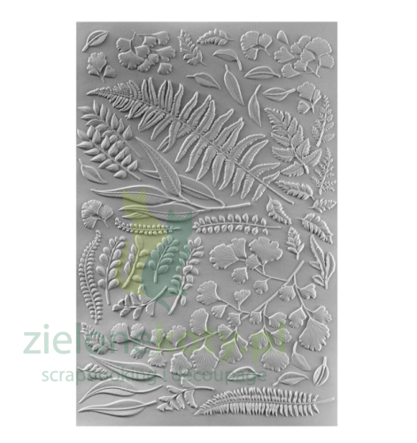 liście folder 2.PNG