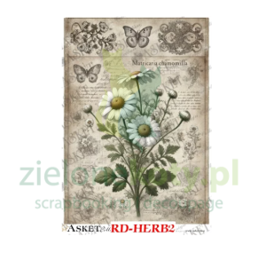 Papier ryżowy decoupage Asket Vintage Herbarium edycja limitowana A4 Rumianek