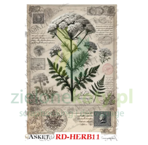 Papier ryżowy decoupage Asket Vintage Herbarium edycja limitowana A4 Krwawnik x