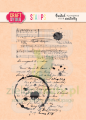 cs051 stempel plamy na liście.jpg