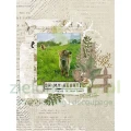die-cuts-Arden-Vellum-Ephemera-Vintage-Makers-Essentials