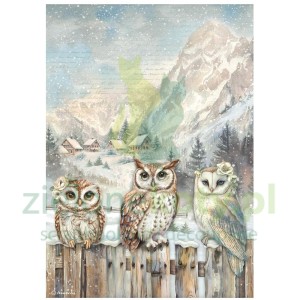Papier ryżowy decoupage Stamperia A4 The Owl's House 3 sowy