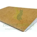 Notes-journal-arden3.jpg