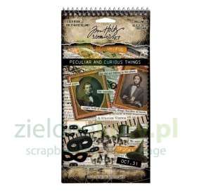 Naklejki papierowe Tim Holtz Idea-Ology Halloween Sticker Book Peculiar and curious things