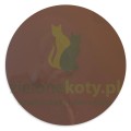 farba-stamperia-misty-paint-choko2.jpg