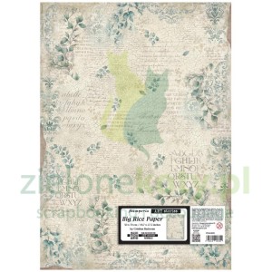Papier ryżowy decoupage Stamperia ART stories Big Rice Paper 50x70 cm gałązki, napisy
