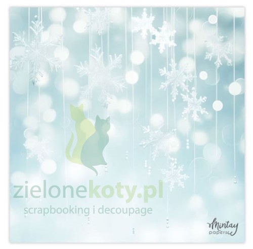Tło-fotogrfaiczne-mintay-zimowe-tło.JPG