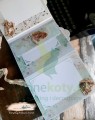 Alchemy Of Art In the morning  O poranku 3.jpg