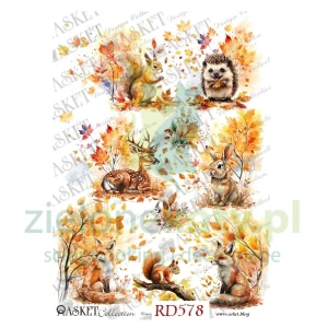 Papier ryżowy decoupage Asket  A4 jesienne zwierzęta x