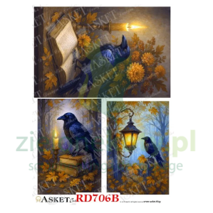 Papier ryżowy decoupage Asket  A4 kruk z książką