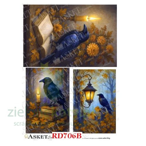 papier-ryżowy-asket-kruki.duże.png