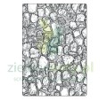 folder-sizzix-A5-kamienie.JPG