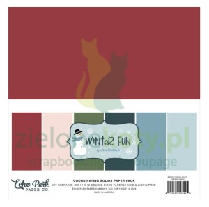 Zestaw papierów 30x30 Echo Park Winter Fun bazowe