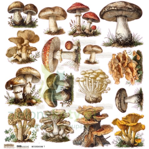 naklejki-papierow-scraplove-grzyby.jpg
