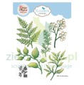 wykrojnik-elizabeth-fern-and-greenery-gałązki.JPG