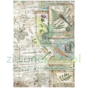 Papier ryżowy decoupage Stamperia A4 Herbarium Silvae Botanic