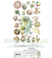 cretaive extras 2 spring.png