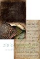 zestaw-alchemy-of-art-in-silence5.jpg
