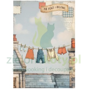 Papier ryżowy decoupage Stamperia A4 Family pranie