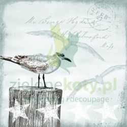 Serwetka 33x33cm morskie mewa (13309115)