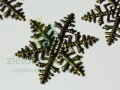 _MG_3767_800.JPG