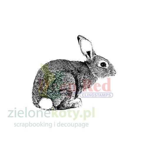 sku 3x405126 zająć.jpg